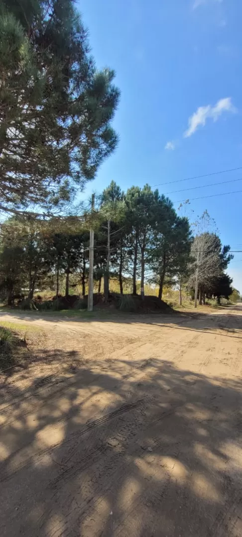 Terreno en San Bernardo - Gran Lote en Esquina Barrio Ezcurra Medrano (ID 48)